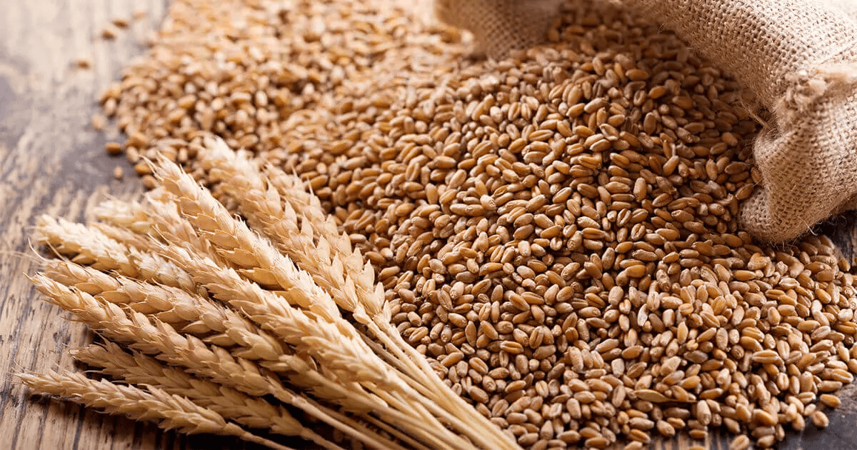 主原料は全粒穀物