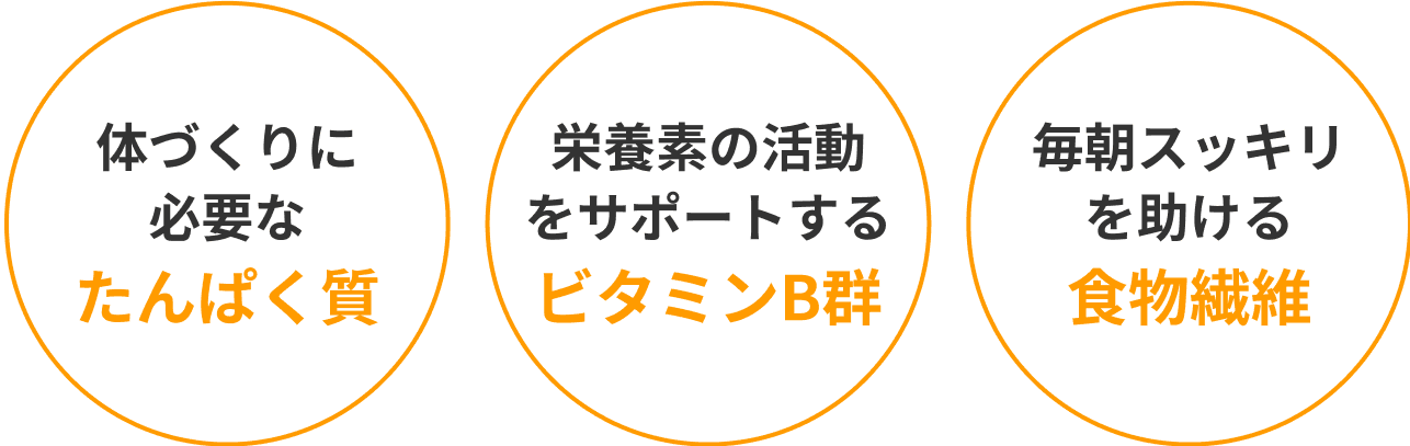 からだに必要なもの、全部入り