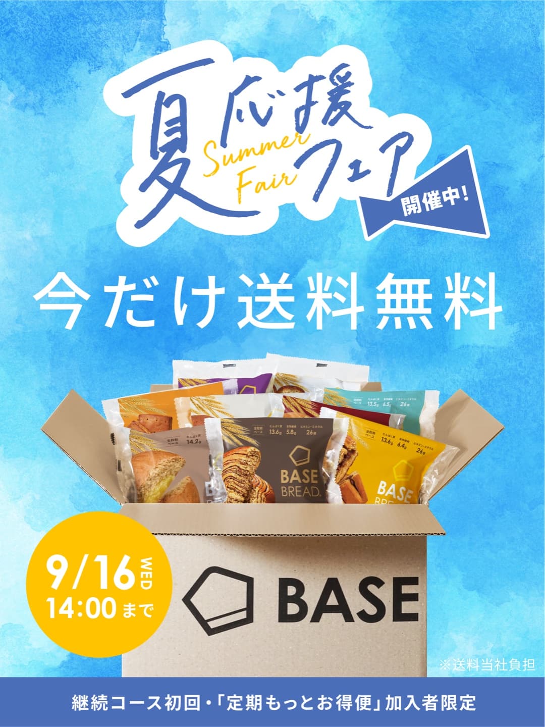 送料無料キャンペーン実施中