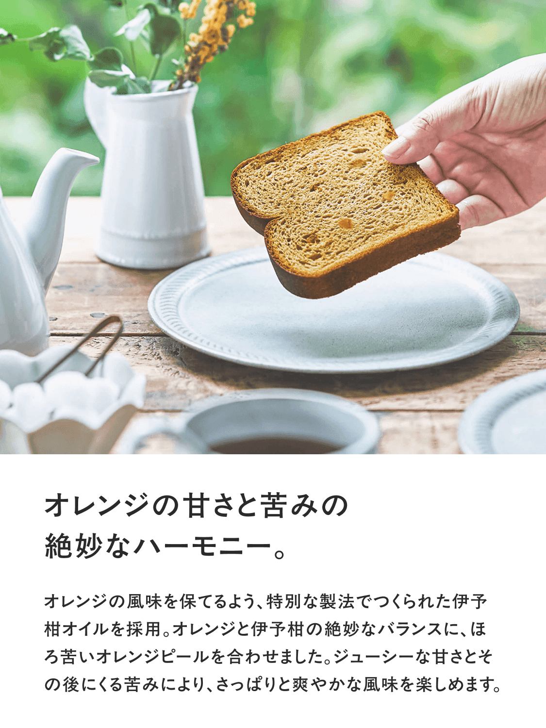 完全栄養食 BASE BREAD （ベースブレッド） 完全栄養食 BASE FOOD
