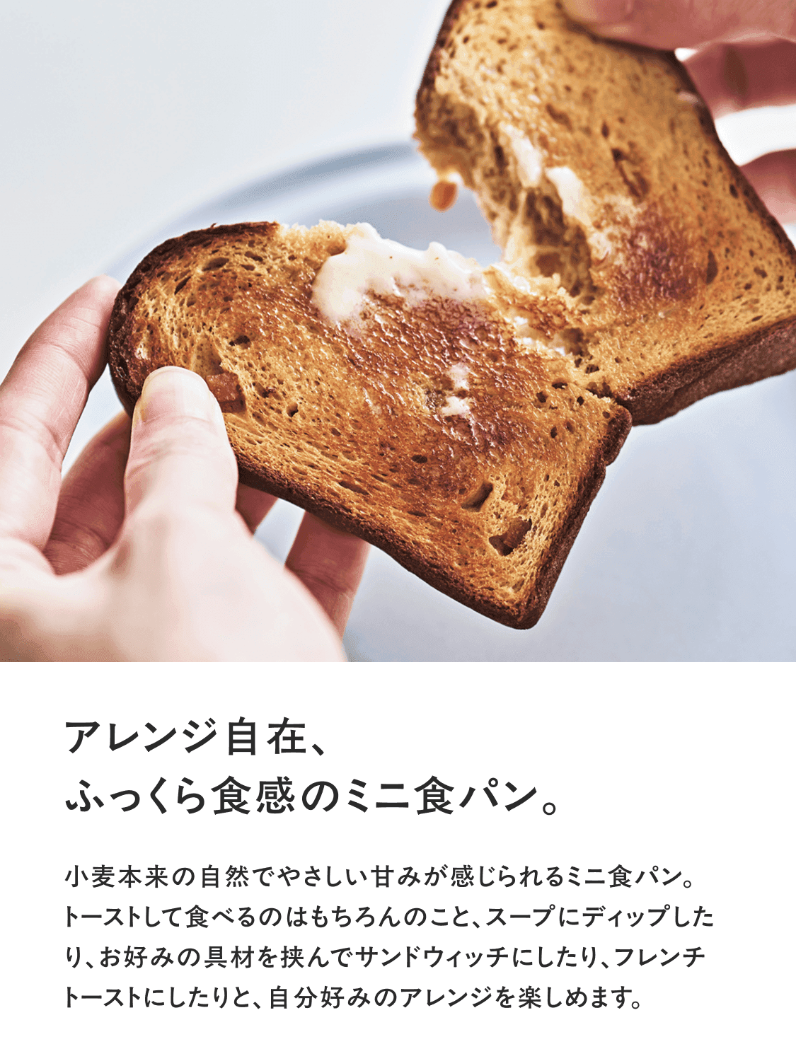 basebread_slice_plain-2
