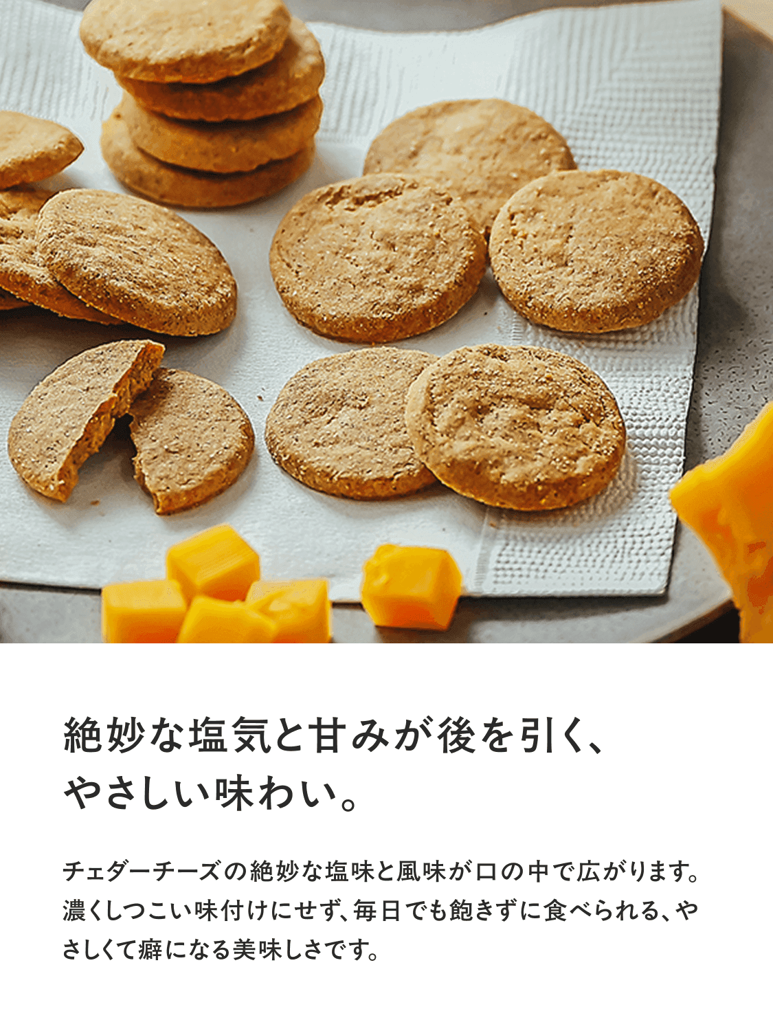 basecookies_cheese-2