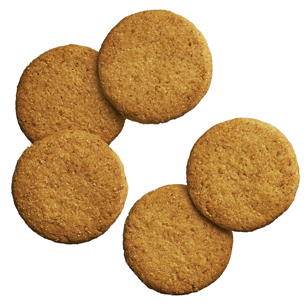 完全栄養食BASE Cookies（ベースクッキー） 完全栄養食 BASE