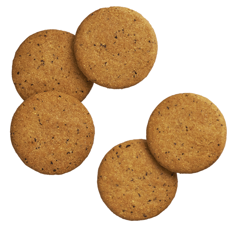 完全栄養食BASE Cookies（ベースクッキー） 完全栄養食 BASE