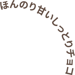 ほんのり甘いしっとりチョコ