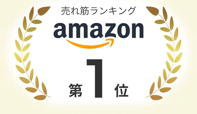 Amazon 売れ筋ランキング 第1位